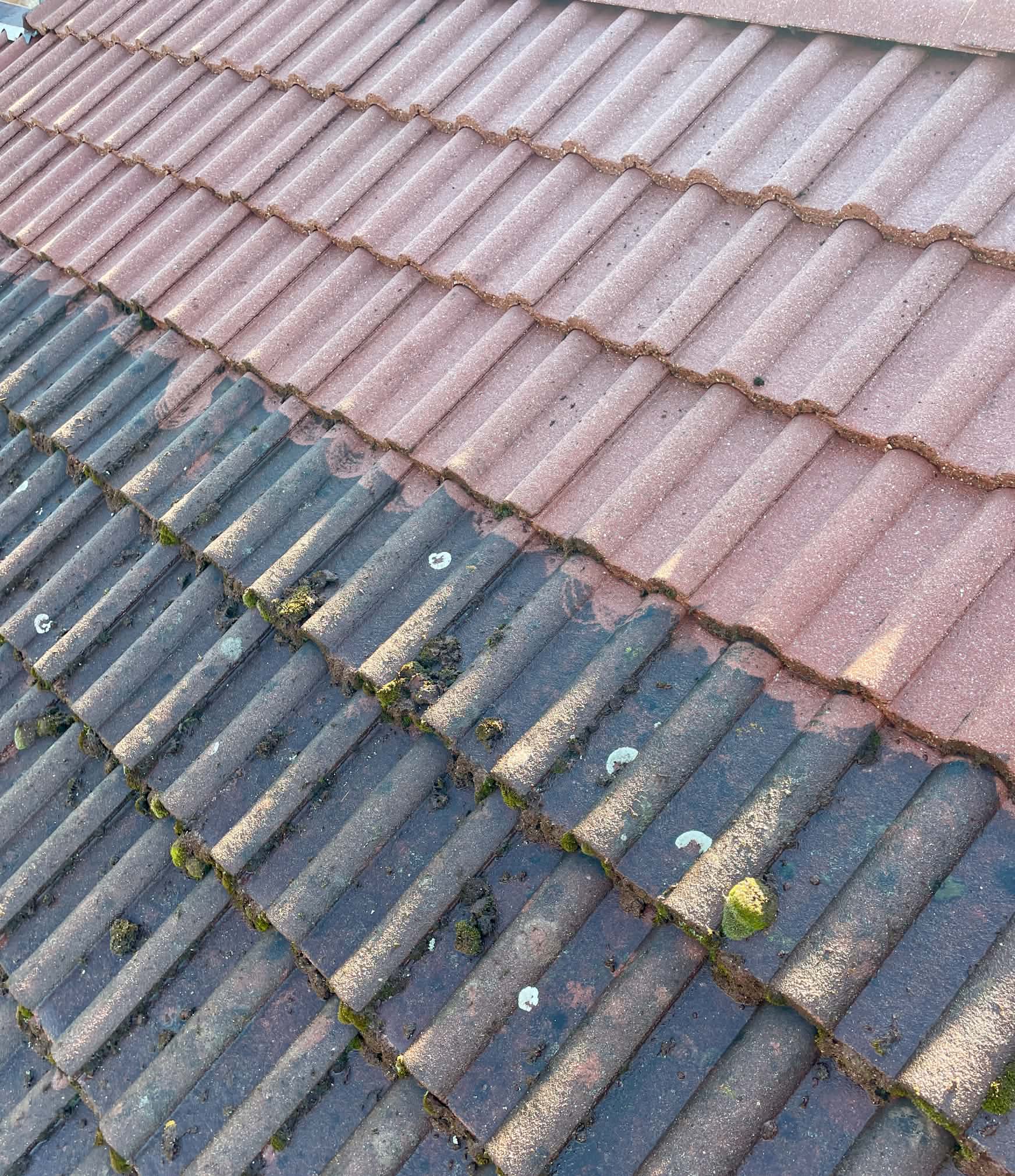 Detail střešních tašek před a po vyčištění